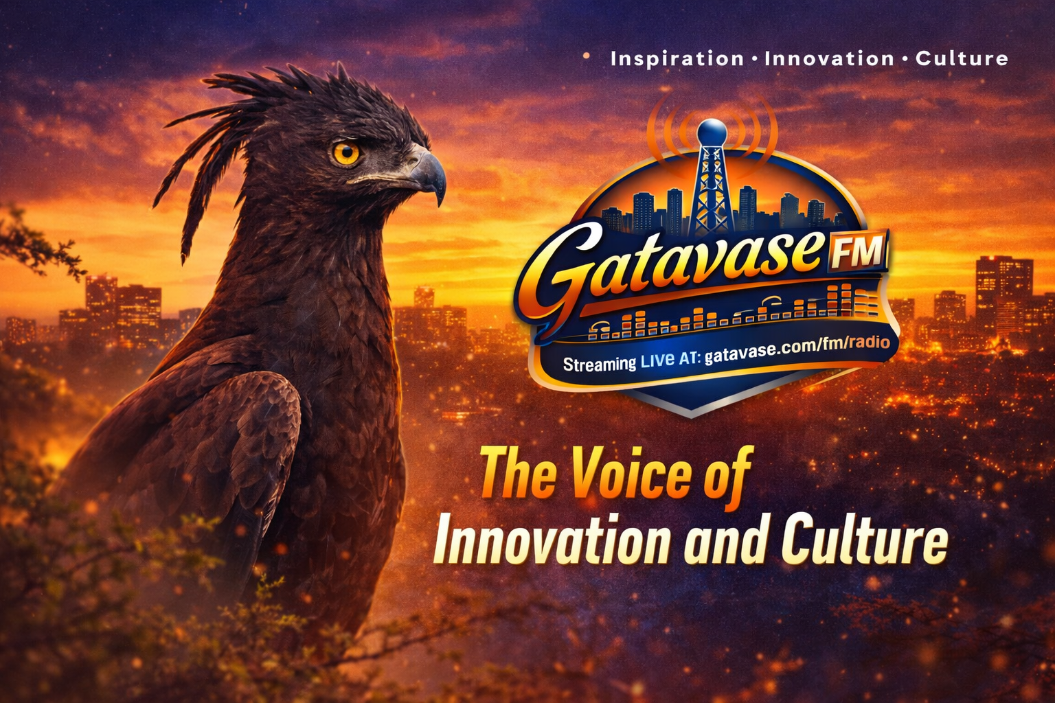 The Voice of Innovation